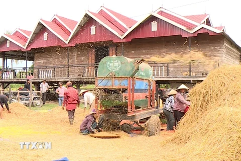 Nhiều gia đình người dân tộc thiểu số tại huyện Krông Pa (Gia Lai) đã có đời sống khá giả nhờ nguồn vốn từ các chương trình mục tiêu Quốc gia. (Ảnh: Hồng Điệp/TTXVN)