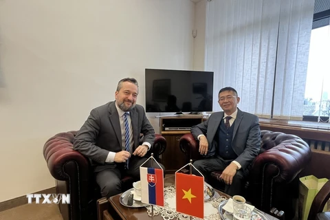 Phó Chủ tịch Quốc hội Slovakia Lubos Blaha tiếp Đại sứ Việt Nam tại Slovakia Nguyễn Tuấn. (Ảnh: TTXVN phát)