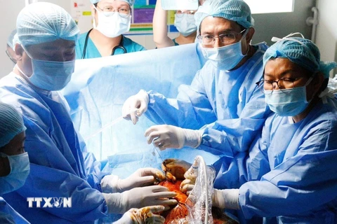 Tiến sỹ, bác sỹ Đỗ Nguyên Tín trong phòng mổ can thiệp tim trong bào thai cùng các đồng nghiệp Bệnh viện Từ Dũ Thành phố Hồ Chí Minh. (Ảnh: TTXVN phát)