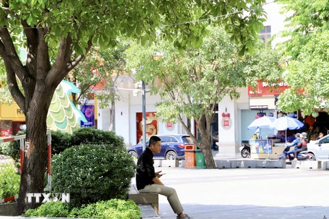 Những hàng ghế nằm dưới tán cây là điểm trú chân quen thuộc của người dân Thành phố Hồ Chí Minh. (Ảnh: Hồng Giang/TTXVN)
