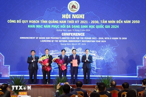Phó Thủ tướng Trần Lưu Quang trao Quyết định quy hoạch tỉnh Quảng Nam cho lãnh đạo tỉnh Quảng Nam. (ẢNh: Trần Tĩnh/TTXVN)