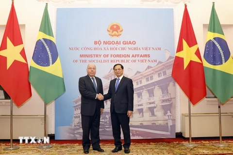 Bộ trưởng Ngoại giao Bùi Thanh Sơn và Bộ trưởng Ngoại giao Brazil Mauro Vieira chụp ảnh chung. (Ảnh: Doãn Tấn/TTXVN)