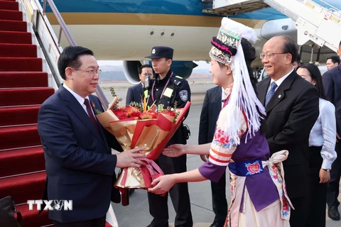 Thiếu nữ tỉnh Vân Nam tặng hoa chào đón Chủ tịch Quốc hội Vương Đình Huệ và Đoàn đại biểu cấp cao Việt Nam tại Sân bay quốc tế Trường Thủy Côn Minh. (Ảnh: Nhan Sáng/TTXVN)