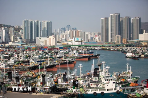 Quang cảnh cảng Busan, Hàn Quốc. (Ảnh: THX/TTXVN)