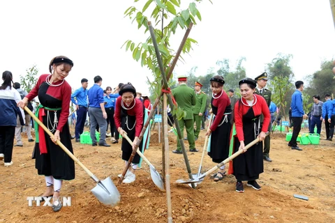 Người dân tỉnh Tuyên Quang hưởng ứng Đề án trồng một tỷ cây xanh. (Ảnh: Quang Cường/TTXVN)