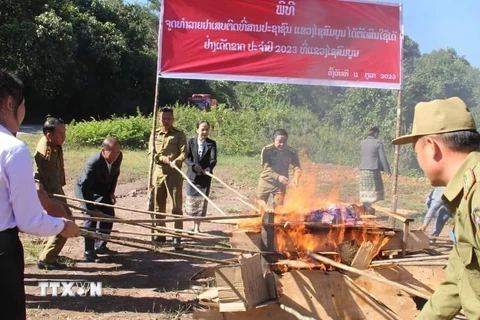 Lực lượng chức năng tỉnh Xaysomboun, Bắc Lào tiêu hủy ma túy. (Ảnh: TTXVN phát)