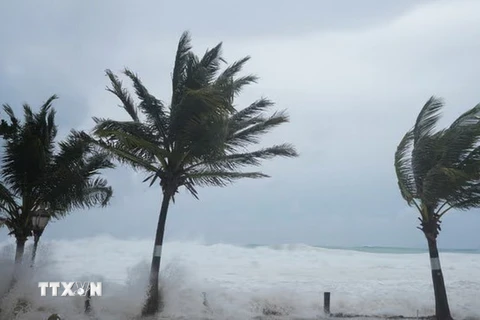 Sóng lớn và gió mạnh khi bão Beryl quét qua Hastings, Barbados, ngày 1/7/2024. (Ảnh: AP/TTXVN)