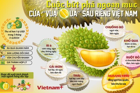 Vì sao sầu riêng trở thành "vua quả" xuất khẩu của Việt Nam