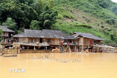 Nhiều ngôi nhà tại bản Phé, xã Tông Cọ, Sơn La bị ngập sâu sau trận mưa lớn. (Ảnh: Quang Quyết/TTXVN)