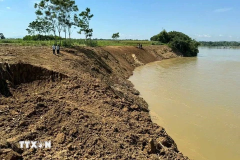 Chính quyền địa phương đã thực hiện phương án “4 tại chỗ”, tạo và dầm mái kè để chống sạt lở tạm thời tại thôn Hải Thành, xã Thọ Thành (huyện Thọ Xuân). (Ảnh: Việt Hoàng/TTXVN)