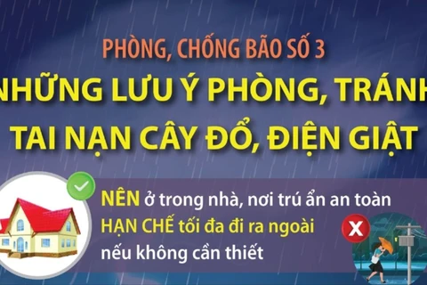 Phòng, chống bão số 3: Những lưu ý phòng, tránh tai nạn cây đổ, điện giật