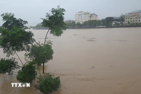 Chủ tịch UBND tỉnh Lào Cai ra quyết định công bố tình huống khẩn cấp về thiên tai trên địa bàn tỉnh. (Ảnh: Hương Thu/TTXVN)