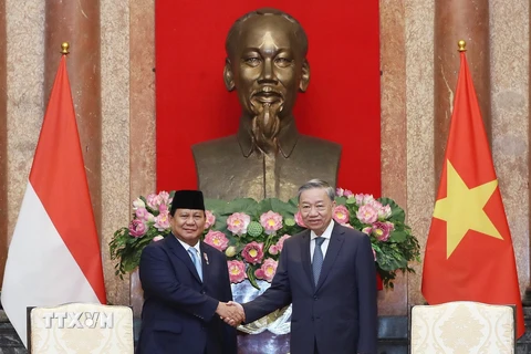 Tổng Bí thư, Chủ tịch nước Tô Lâm tiếp Tổng thống đắc cử Cộng hòa Indonesia Prabowo Subianto. (Ảnh: Lâm Khánh/TTXVN)