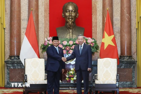 Tổng Bí thư, Chủ tịch nước Tô Lâm tiếp Tổng thống đắc cử Cộng hòa Indonesia Prabowo Subianto. (Ảnh: Lâm Khánh/TTXVN)