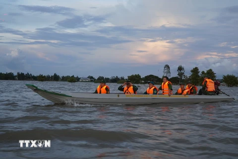 Tổ công tác của Đồn Biên phòng Cầu Muống và các lực lượng liên quan tuần tra phòng, chống buôn lậu trên cánh đồng ngập nước (xã Thường Thới Hậu A, huyện Hồng Ngự). (Ảnh: Nhựt An/TTXVN)