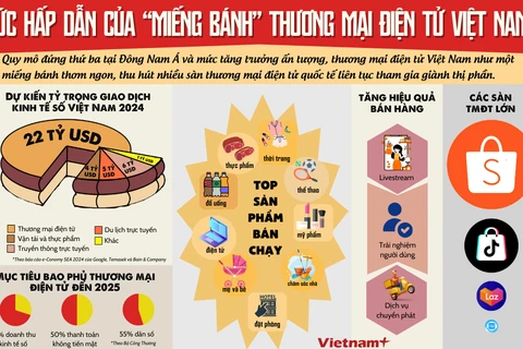 Sức hấp dẫn của "miếng bánh" thương mại điện tử Việt Nam