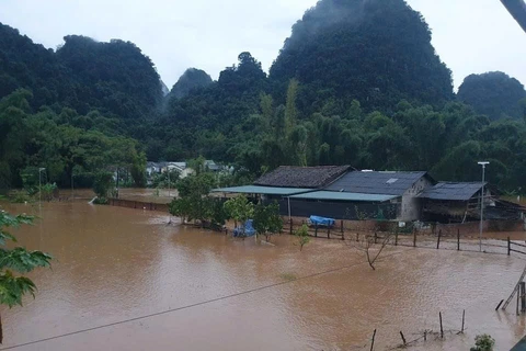 Nhiều nhà dân ở ven suối tại thị trấn Trà Lĩnh, huyện Trùng Khánh, tỉnh Cao Bằng bị ngập lụt do mưa lớn, ngày 11/8/2024. (Ảnh: TTXVN phát)