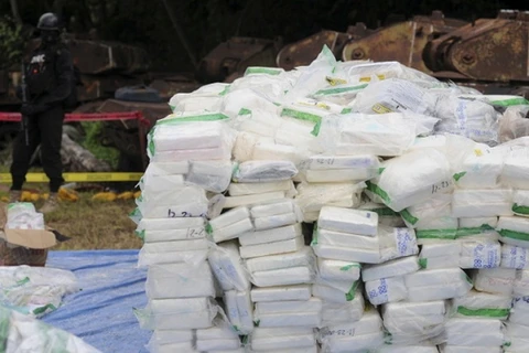 Colombia tịch thu hơn 5 tấn cocaine đang trên đường tớiTrung Mỹ