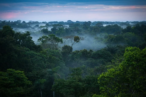 Colombia đề xuất lập Vành đai Amazon-Andes-Đại Tây Dương 