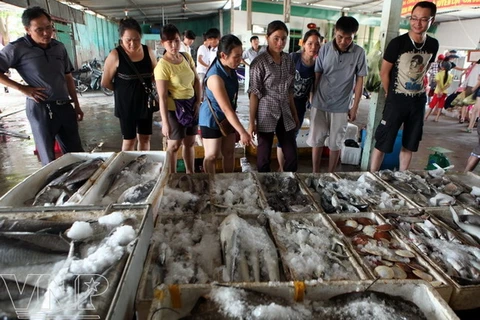 Nghệ An: Du khách đổ về Cửa Lò, giá hải sản tăng vọt