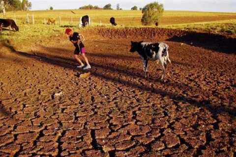 Hạn hán nghiêm trọng khiến 520 thành phố ở Iran thiếu nước