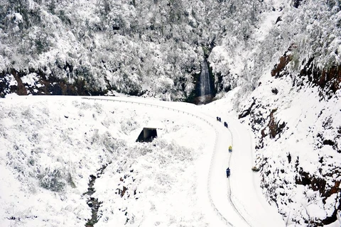 Chùm ảnh tuyết rơi dày trên các khu vực tại Sa Pa