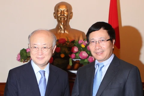 Phó Thủ tướng Phạm Bình Minh tiếp Tổng giám đốc IAEA