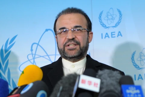 Đại sứ Iran tại IAEA Reza Najafi trong cuộc họp báo tại Vienna ngày 11/12. (Nguồn: THX/TTXVN)