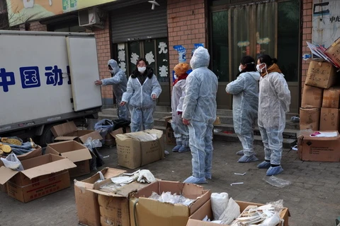 Bắc Kinh xác nhận ca nhiễm virus H7N9 đầu tiên năm 2014