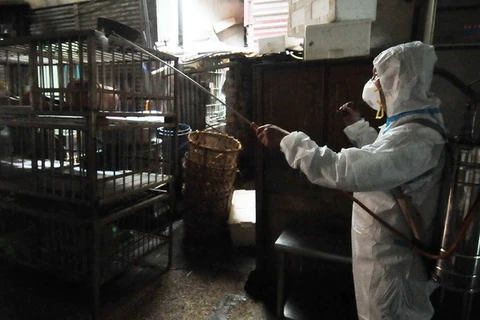 Trung Quốc giảm nhẹ cảnh báo cúm gia cầm H7N9