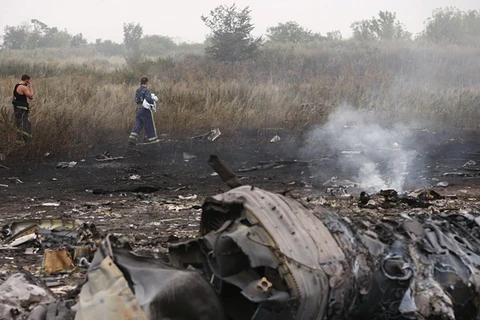 Tám kịch bản giải thích tai nạn máy bay MH17 ở Ukraine