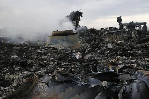 Đức, Pháp, Ba Lan ra tuyên bố chung về vụ rơi máy bay MH17