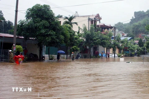 Hà Giang: Mưa to gây sạt lở đất khiến 7 người thiệt mạng