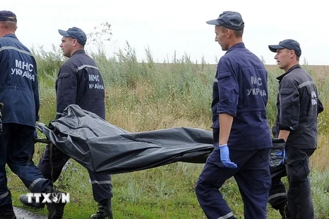 Bắt đầu công tác nhận dạng nạn nhân vụ rơi máy bay MH17