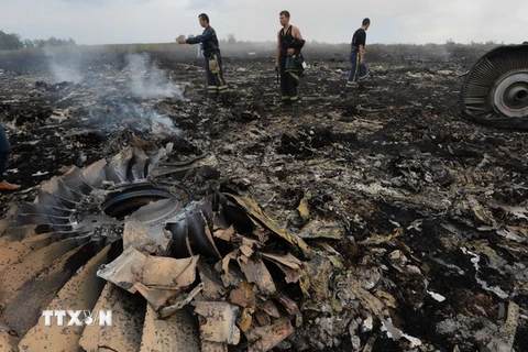 Malaysia tái điều tra vụ MH17 nếu lệnh ngừng bắn có hiệu lực 