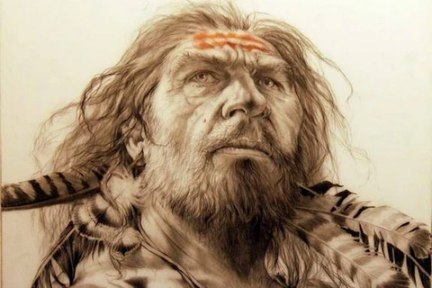 Người Neanderthal có thể đã giao phối với tổ tiên của loài người