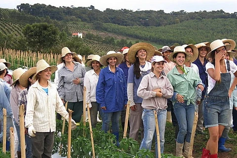 "Thung lũng người đẹp" ở Brazil mời gọi đàn ông đến sống