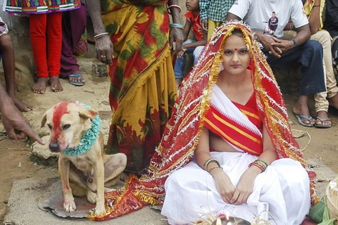 Cô gái 18 tuổi người Ấn Độ phải cưới... chó để tránh tai ương