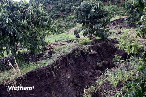 [Photo] Lại tái diễn trượt lở đất nghiêm trọng tại Di Linh