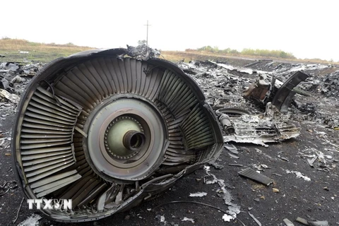 Malaysia: Kiev không thể đảm bảo việc tiếp cận hiện trường MH17