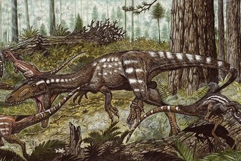 Tìm thấy hóa thạch của loài khủng long ăn thịt ở Nam Mỹ