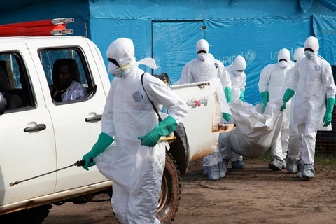 Mỹ, Pháp và LHQ kêu gọi tăng cường nỗ lực chống dịch Ebola