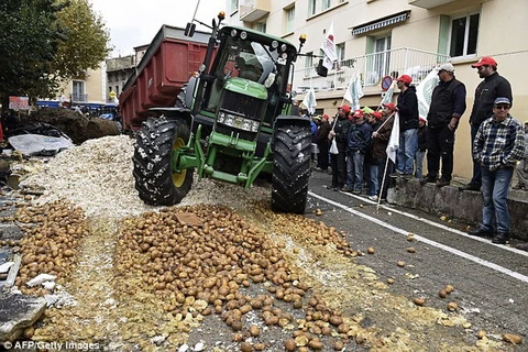 Nông dân cả nước Pháp biểu tình phản đối thực phẩm nhập khẩu