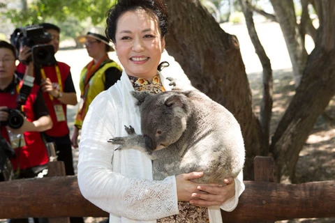 Ông Putin, bà Tập Cận Bình chụp ảnh lưu niệm cùng gấu Koala