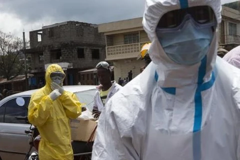 Một bác sỹ người Italy bị nhiễm virus Ebola tại Tây Phi
