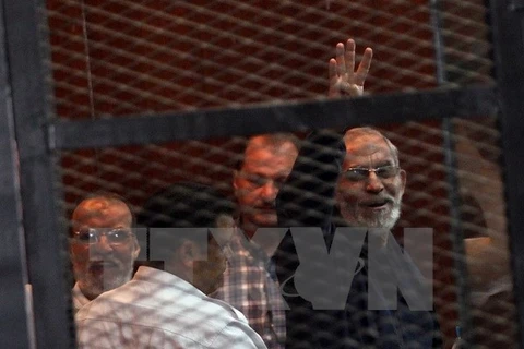 Chính quyền Ai Cập bắt con rể của Phó thủ lĩnh tối cao MB
