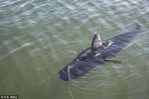 Hải quân Mỹ thử nghiệm robot gián điệp khổng lồ hình cá ngừ