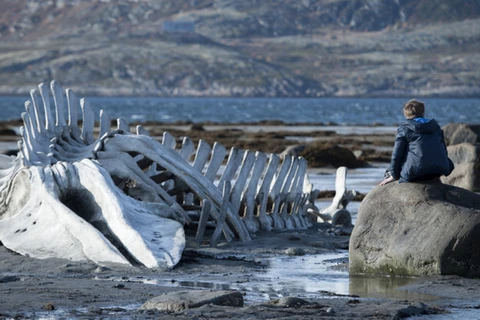 Oscar 2015: Phim phê phán Nga "Leviathan" trình chiếu ở quê nhà