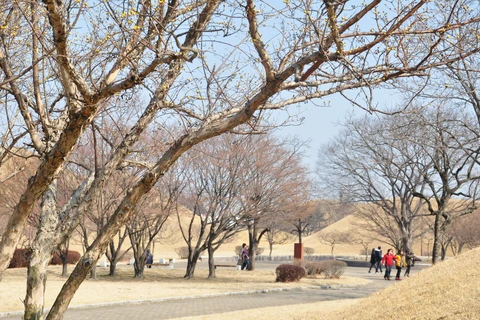 Chiêm ngưỡng khu lăng mộ và đài thiên văn cổ nhất Hàn Quốc