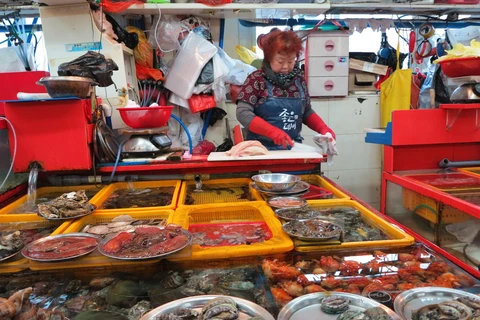 Đến với Jagalchi - Chợ hải sản tươi sống lớn nhất Đông Bắc Á 